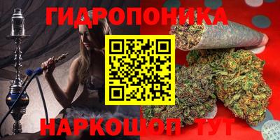ГАЛЛЮЦИНОГЕННЫЕ ГРИБЫ Гагарин
