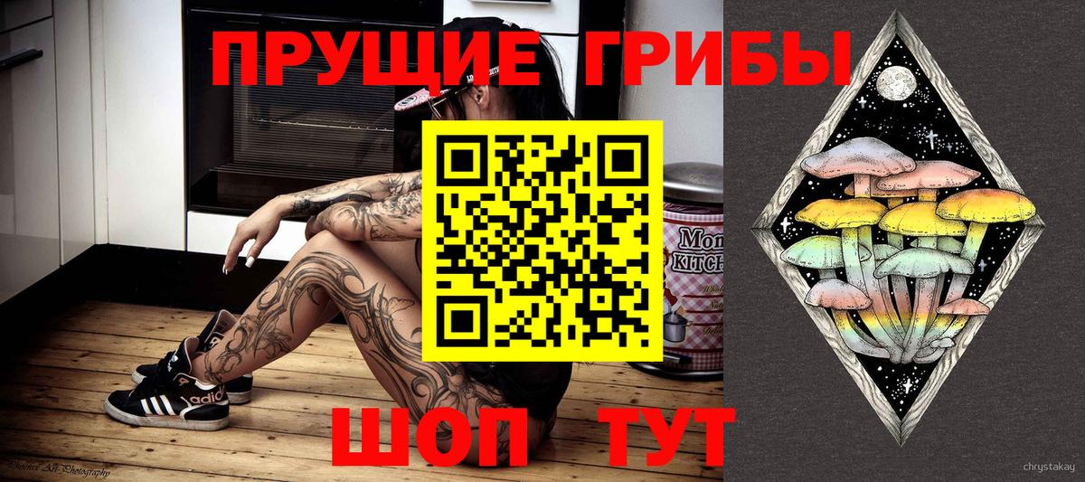 Псилоцибиновые грибы Cubensis Мурино